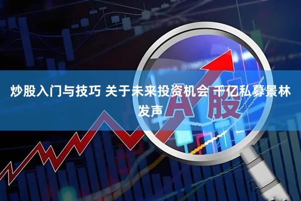 炒股入门与技巧 关于未来投资机会 千亿私募景林发声