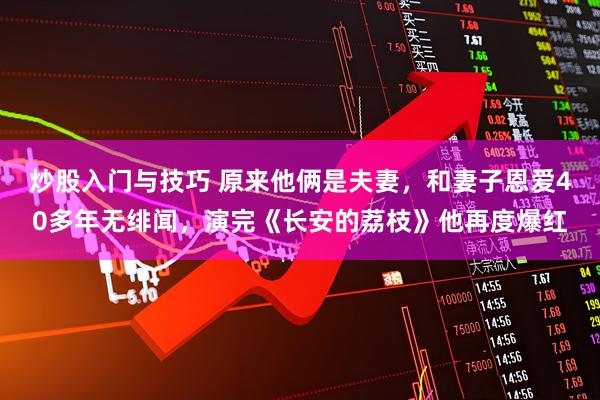 炒股入门与技巧 原来他俩是夫妻，和妻子恩爱40多年无绯闻，演完《长安的荔枝》他再度爆红