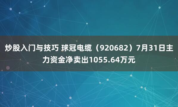 炒股入门与技巧 球冠电缆（920682）7月31日主力资金净卖出1055.64万元