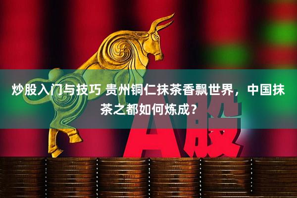 炒股入门与技巧 贵州铜仁抹茶香飘世界，中国抹茶之都如何炼成？