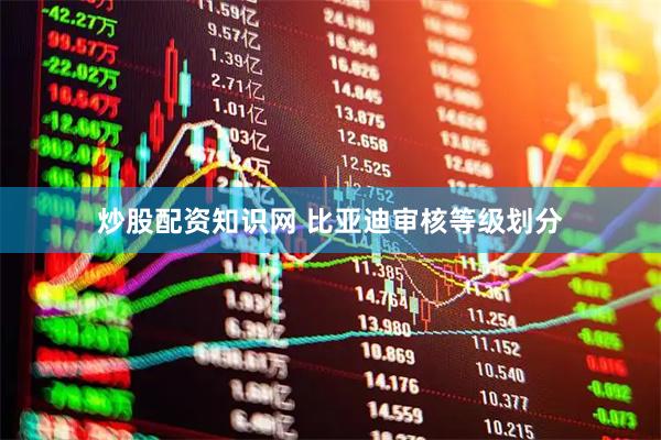 炒股配资知识网 比亚迪审核等级划分
